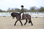 SBM_006832