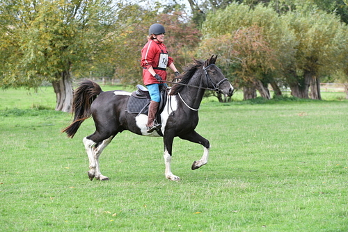 WJ5_9891