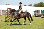SBM_18392