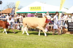 SBM_08354