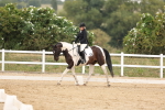 SBM_01790