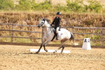 SBM_000447