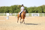 SBM_010240