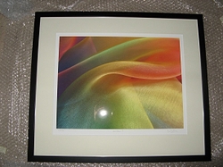 Not the Royal Academy Summer Exhibition portfolio