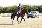SBM_002331