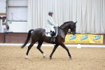 SBM_002313
