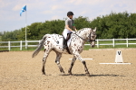 SBM_002065