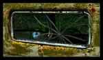 Spider Window