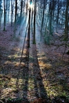 Long Lights