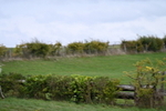 WJ7_8905