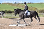 BPP_9401