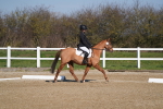 SBM_001174