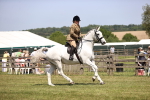 SBM_16102
