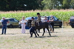 WJ6_7977