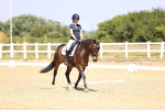 SBM_003911
