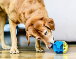 PetLove Nuzzle Puzzle