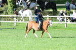 SBM_50349