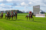 Race 4 portfolio