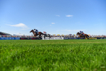 120826-Race 5-Ciao Capo-6457