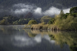 Lake Tutira, Hawke's Bay