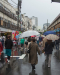 Japan-7