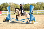 SBM_000469