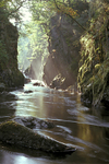 Fairy Glen Betws y Coed 5