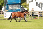 SBM_00570