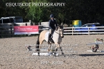 BPP_8804
