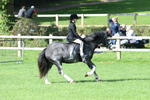 SBM_47088