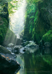The Fairy Glen 3