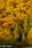 Autumn Colour, Loch Ard, 1