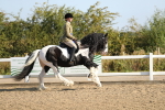 SBM_01262