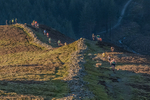 Grisedale-12