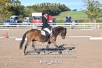 BPP_8306