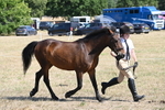 WJ6_9128