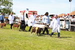 SBM_08305