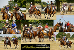 Polocrosse montage-1