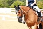 SBM_012573