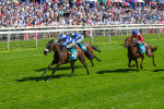 120725-Race 3-Fox Legacy-5690