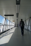 Link bridge