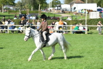 SBM_50404