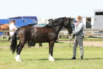 SBM_02305