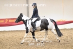 BPP_8420