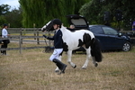 WJ6_8087
