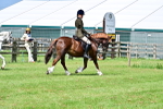 SBM_03721