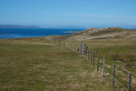 Sheep Fields