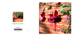 024 Fuchsia