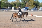 BPP_8305