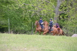 WJ6_2004